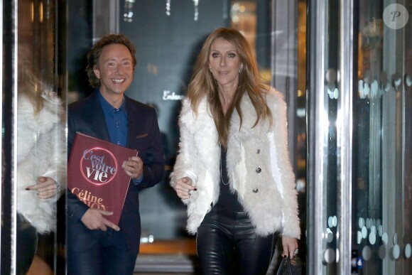 Céline Dion, suivie de Stéphane Bern, quitte son hôtel pour se rendre sur le plateau de l'émission "Vivement Dimanche" à Paris, le 13 novembre 2013.