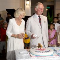 Prince Charles : Surprises et sourires pour un anniversaire à l'indienne