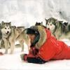 Paul Walker, amoureux de la nature et des animaux, notamment des chiens, était le héros de Antartica, Prisonniers du froid