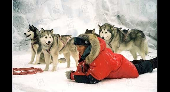 Paul Walker, amoureux de la nature et des animaux, notamment des chiens, était le héros de Antartica, Prisonniers du froid