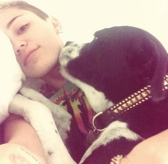 Quand elle ne twerke pas, Miley Cyrus câline ses chiens.