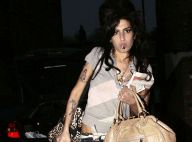 Amy Winehouse : elle annule sa tournée et rentre chez elle !