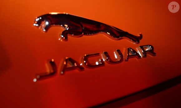 Exclusif - Soirée de lancement du coupé F Type R de Jaguar au 50 Avenue Montaigne à Paris, le 23 janvier 2014