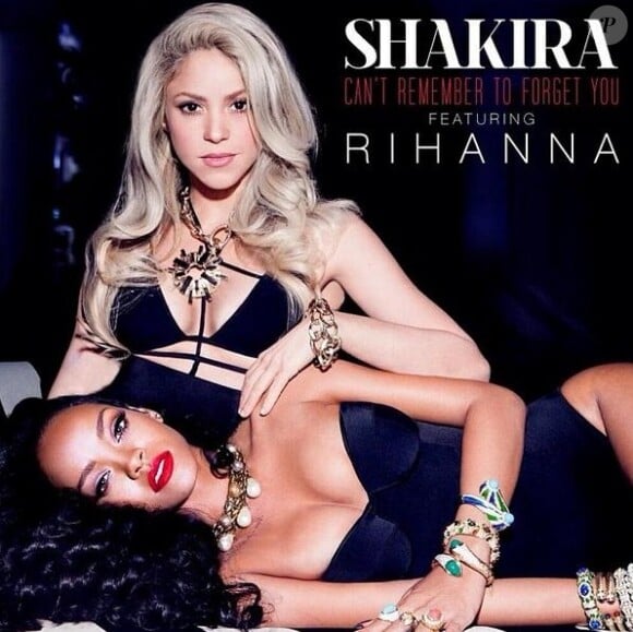 Shakira et Rihanna ont dévoilé, jeudi 9 janvier 2014, la pochette de leur duo "Can't remember to forget you".