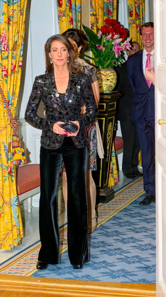 La princesse Marie a brillé lors d'un dîner de gala à l'ambassade de France à Copenhague le 5 février 2014.