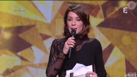 29e cérémonie des Victoires de la Musique, au Zénith de Paris, le 14 février 2014.
