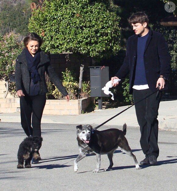 Ashton Kutcher et sa petite amie Mila Kunis promènent leurs chiens de bon matin à Los Angeles, le 13 janvier 2014