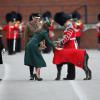 Kate Middleton, décorant avec plaisir le lévrier irlandais Domhnall, mascotte du régiment, accompagnait le prince William aux Mons Barracks d'Aldershot, le 17 mars 2014, pour la Saint Patrick des Irish Guards, au cours de laquelle la duchesse de Cambridge avait pour mission de distribuer l'emblématique trèfle porte-bonheur.