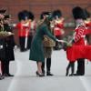 Kate Middleton, décorant avec plaisir le lévrier irlandais Domhnall, mascotte du régiment, accompagnait le prince William aux Mons Barracks d'Aldershot, le 17 mars 2014, pour la Saint Patrick des Irish Guards, au cours de laquelle la duchesse de Cambridge avait pour mission de distribuer l'emblématique trèfle porte-bonheur.