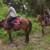 Excursion à cheval dans la jungle dans Les Anges de la télé-réalité 6 sur NRJ 12 le lundi 7 avril 2014