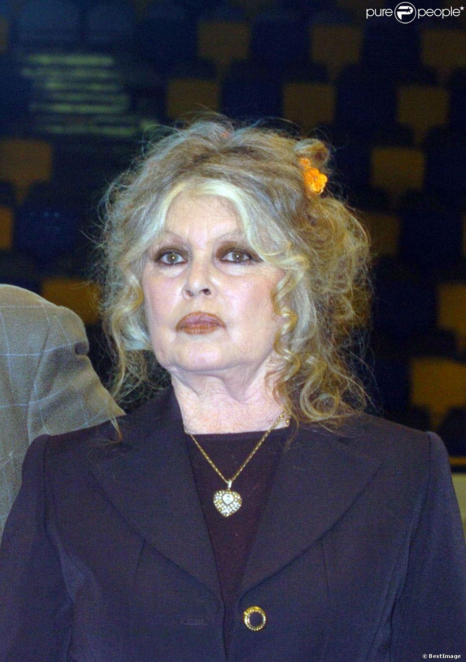  Brigitte Bardot (photo d&#039;archive de 2004) 