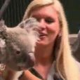 Un mignon petit koala dans Les Anges de la télé-réalité 6 sur NRJ 12 le jeudi 17 avril 2014