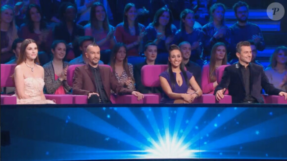 Le jury de The Best (émission The Best saison 2, diffusée le vendredi 2 mai 2014 sur TF1.)