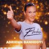 Adrienn Banhegyi (émission The Best saison 2, diffusée le vendredi 2 mai 2014 sur TF1.)