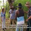 Journée découverte dans le bush pour Shanna, Thibault, Dania et Sofiane dans Les Anges de la télé-réalité 6 sur NRJ 12 le mardi 13 mai 2014