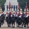 Parade des Horse Guards, le 28 mai 2014, à Londres.