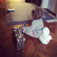 La petite Romy, 16 mois, fille de la chanteuse Coeur de Pirate, avec son doudou et sa mini-valise.