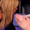 Heidi Klum donne un biscuit à un cochon avec la bouche, dans l'émission America's Got Talent.
