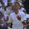 Novak Djokovic lors de sa victoire en finale de Wimbledon, face à Roger Federer, le 6 juillet 2014 à Londres
