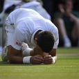  Novak Djokovic lors de sa victoire en finale de Wimbledon, face &agrave; Roger Federer, le 6 juillet 2014 &agrave; Londres 