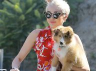 Miley Cyrus en plein délire : Clip loufoque et tatouage hommage à son chien mort