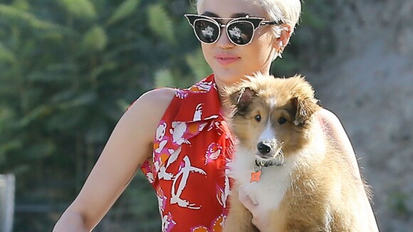 Miley Cyrus en plein délire : Clip loufoque et tatouage hommage à son chien mort