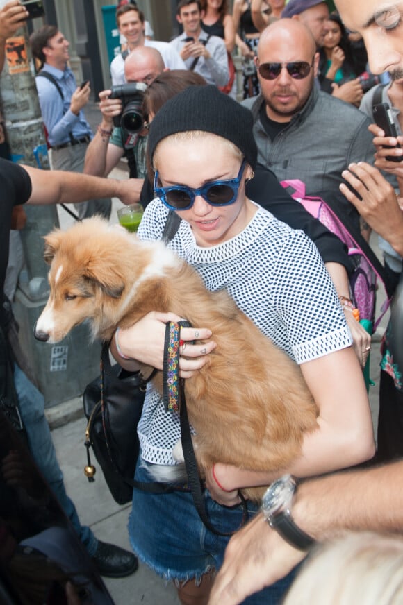 Miley Cyrus avec son nouveau chien Emu Coyne dans les rues de New York, le 4 août 2014.