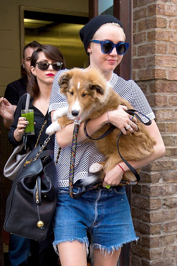 Miley Cyrus avec son chien Emu à New York, le 4 août 2014. 