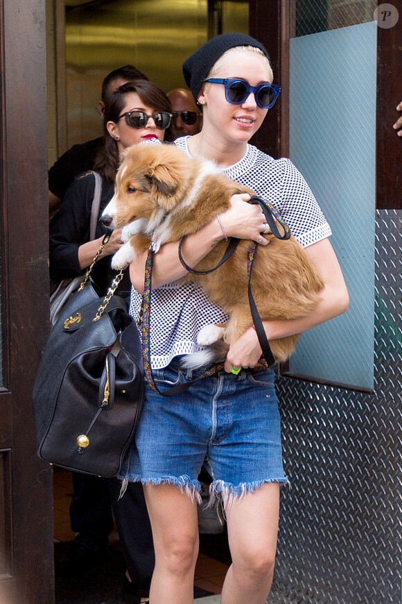 Miley Cyrus avec son nouveau chien Emu dans les rues de New York, le 4 août 2014.
