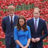 Le prince Harry se recueillant avec William et Kate dans un champ de coquelicots factices installés au pied de la Tour de Londres, le 5 août 2014, en commémoration du centenaire de la Première Guerre mondiale.