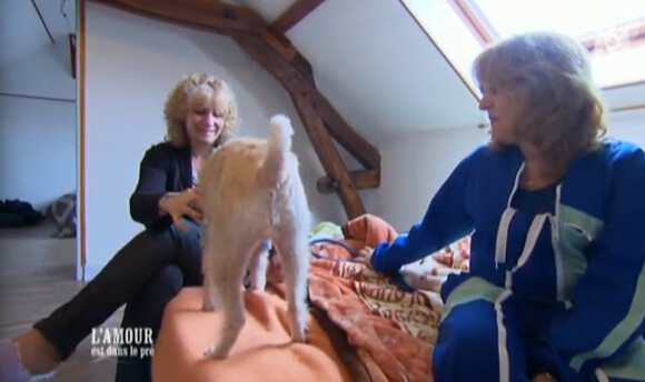 Marie-Line et Marie-Paule, prétendantes de François. Episode de "L'amour est dans le pré 2014" sur M6. Le 18 août 2014.