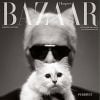Karl Lagerfled et Choupette en couverture de "Harper's Bazaar" UK, octobre 2013.
