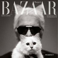 Karl Lagerfeld, la vie enchantée de Choupette : 'Elle m'a réduit en esclavage'