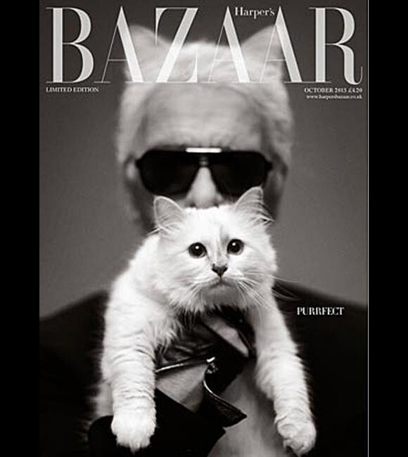Karl Lagerfled et Choupette en couverture de "Harper's Bazaar" UK, octobre 2013.