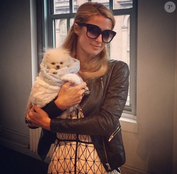 Paris Hilton pose avec son nouveau chien le 14 septembre 2014
