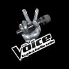 The Voice 3 - la finale. Le samedi 10 mai à 20h55 sur TF1.