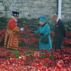 La reine Elizabeth II et le duc d'Edimbourg visitaient le 16 octobre 2014 à la Tour de Londres l'installation baptisée "Blood Swept Lands and Seas of Red" de l'artiste Paul Cummins, hommage aux soldats morts lors de la Première Guerre mondiale qui sera achevé pour le 11 novembre, commémoration de l'Armistice.