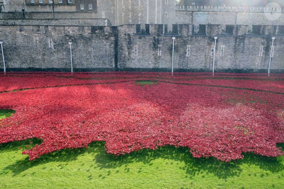 La reine Elizabeth II et le duc d'Edimbourg ont découvert le 16 octobre 2014 à la Tour de Londres l'installation baptisée "Blood Swept Lands and Seas of Red" de l'artiste Paul Cummins, hommage aux soldats morts lors de la Première Guerre mondiale qui sera achevé pour le 11 novembre, commémoration de l'Armistice.