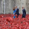 Kate Middleton visitant avec le prince William et le prince Harry le 5 août 2014 à la Tour de Londres l'installation baptisée "Blood Swept Lands and Seas of Red" de l'artiste Paul Cummins, hommage aux soldats morts lors de la Première Guerre mondiale qui sera achevé pour le 11 novembre, commémoration de l'Armistice.