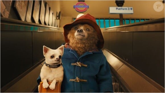 L'ours Paddington dans le film Paddington.