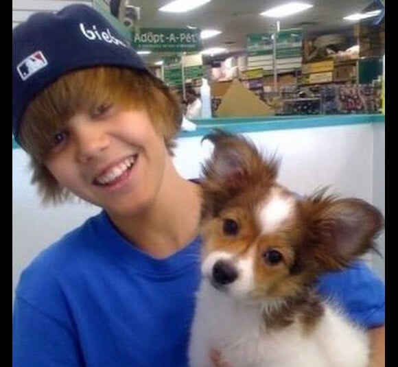 Justin Bieber pleure la mort de son chien, le 11 décembre 2014