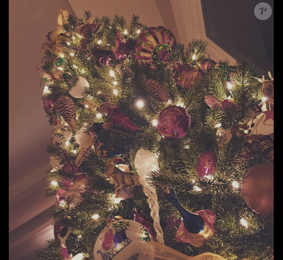 Sophia Bush a publié sur instagram le 27 décembre 2014, les photos de son dernier Noël au cours duquel un terrible drame aurait pu se produire puisqu'un de ses cadeau à pris feu !