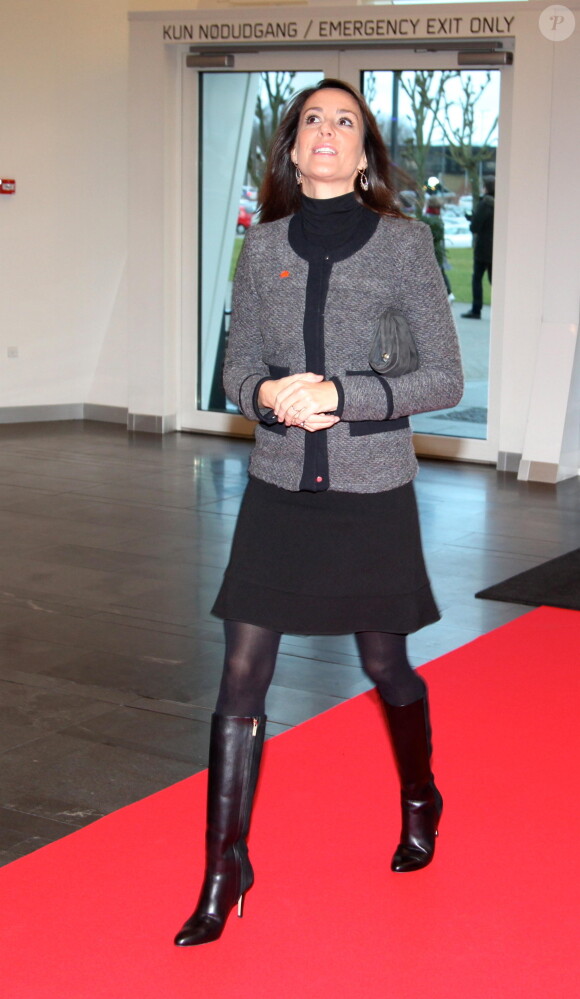La princesse Marie de Danemark inaugurait le 29 janvier 2015 à Copenhague une conférence sous l'égide de l'Association nationale de l'autisme, dont elle est la marraine.