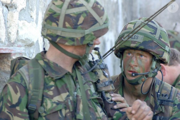 Le prince Harry, capitaine au sein des Blues and Royals, a annoncé le 17 mars 2015 sa décision de quitter l'armée, en juin. Photo d'archives.