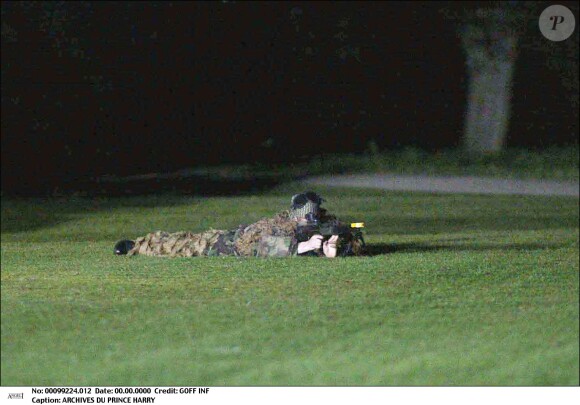 Le prince Harry, formé à l'Académie militaire de Sandhurst, a annoncé le 17 mars 2015 sa décision de quitter l'armée, en juin.