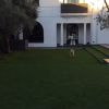 Sur son compte Instagram, Lori Loughlin joue avec son chien dans son jardin le 25 février 2015
