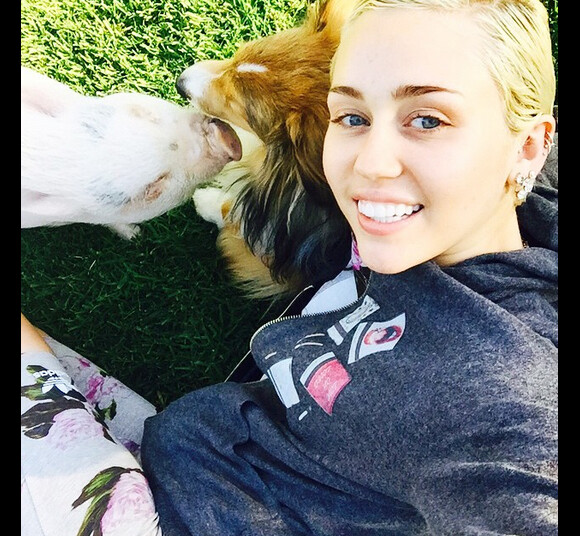 Miley Cyrus et son cochon sur Instagram, avril 2015