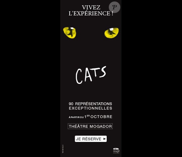 Cats - Mogador