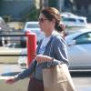 Exclusif - Lara Flynn Boyle fait du shopping à Walgreens (Los Angeles) le 28 août 2015
