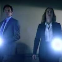 Gillian Anderson et David Duchovny: Réunis et inquiets pour le retour de X-Files